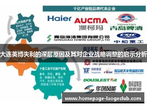 大连英博失利的深层原因及其对企业战略调整的启示分析 大连英博失利的深层原因及其对企业战略调整的启示分析