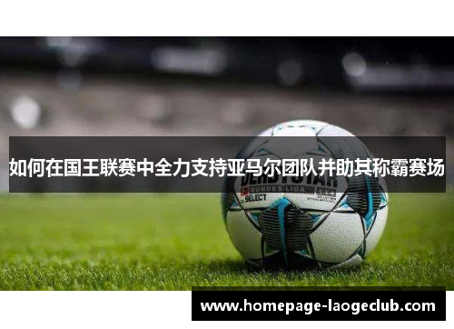 如何在国王联赛中全力支持亚马尔团队并助其称霸赛场 如何在国王联赛中全力支持亚马尔团队并助其称霸赛场