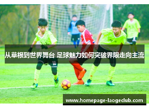 从草根到世界舞台 足球魅力如何突破界限走向主流 从草根到世界舞台 足球魅力如何突破界限走向主流