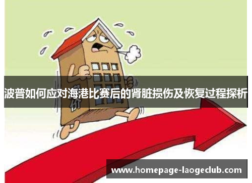 波普如何应对海港比赛后的肾脏损伤及恢复过程探析 波普如何应对海港比赛后的肾脏损伤及恢复过程探析