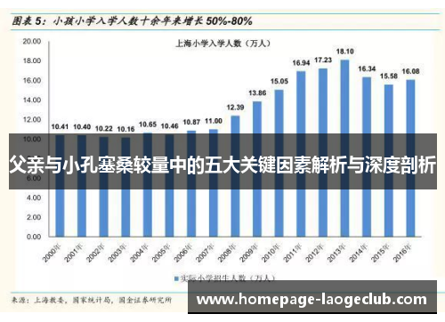 父亲与小孔塞桑较量中的五大关键因素解析与深度剖析 父亲与小孔塞桑较量中的五大关键因素解析与深度剖析