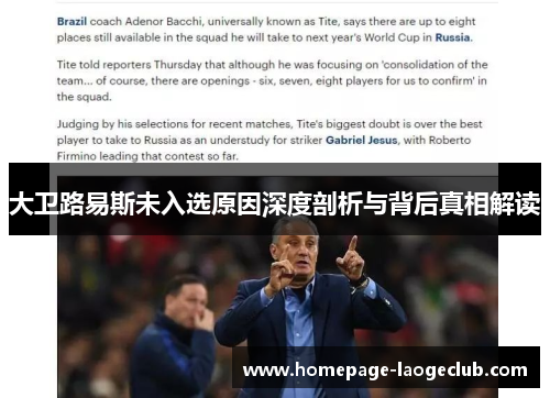 大卫路易斯未入选原因深度剖析与背后真相解读