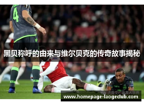 黑贝称呼的由来与维尔贝克的传奇故事揭秘 黑贝称呼的由来与维尔贝克的传奇故事揭秘