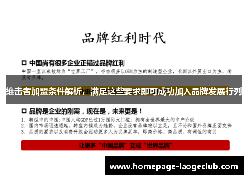 维击者加盟条件解析，满足这些要求即可成功加入品牌发展行列